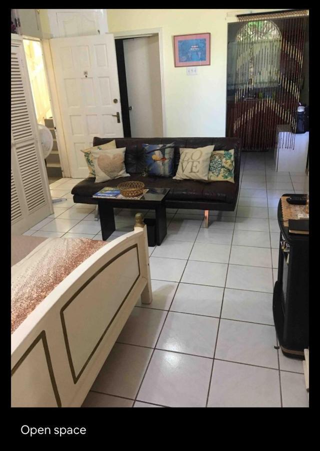 #D1 Castle Studio Wifi King Bed Ocho Rios Jamaica Exteriér fotografie